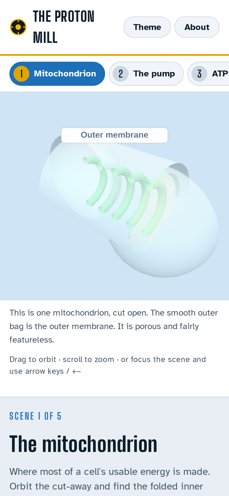 The Proton Mill: a first-year university unit on how the mitochondrion makes ATP, five 3D scenes each with Watch, Why, a quiz, and instructor notes.